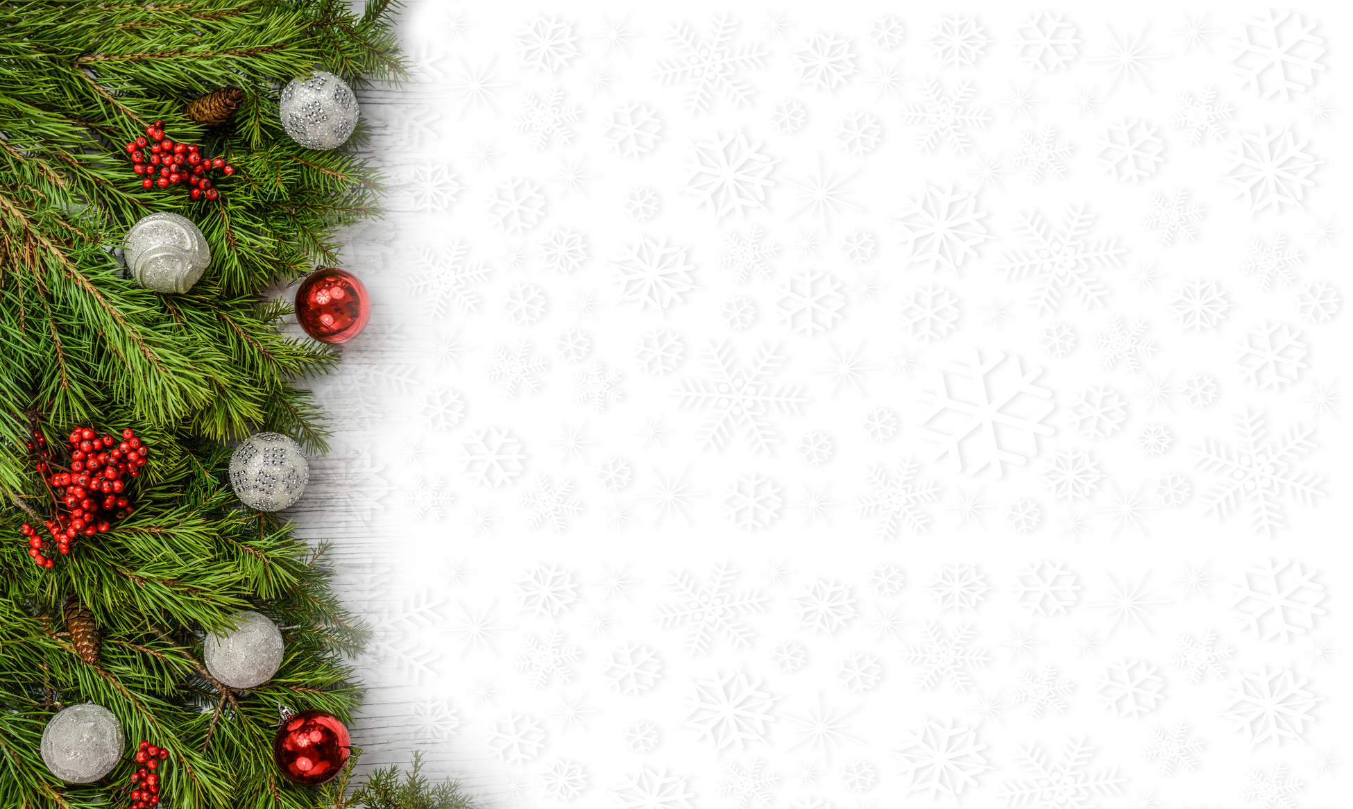 Design Background With Snowflakes And Christmas Pine On The Edge